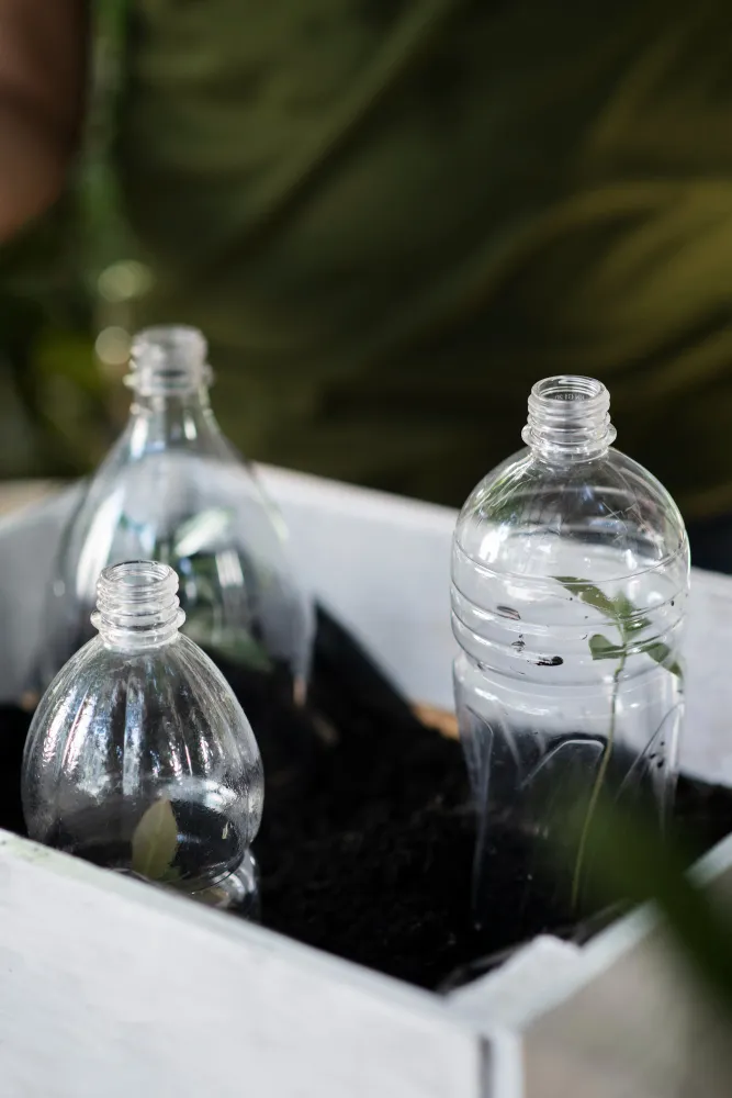 Surplus Chemicals