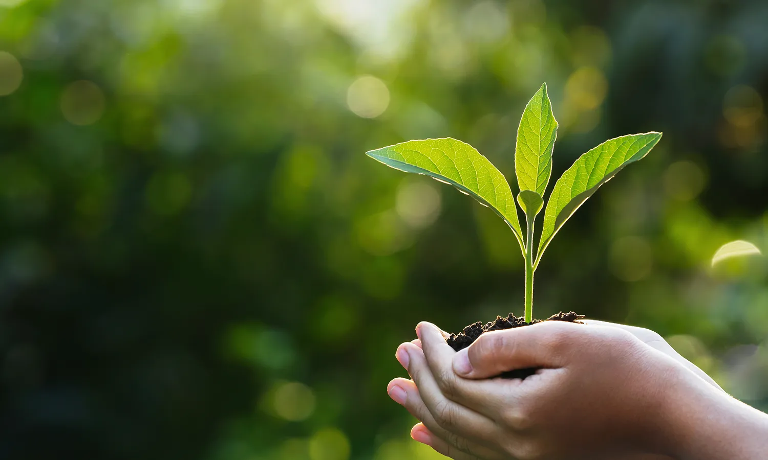 Circular Economy initiative