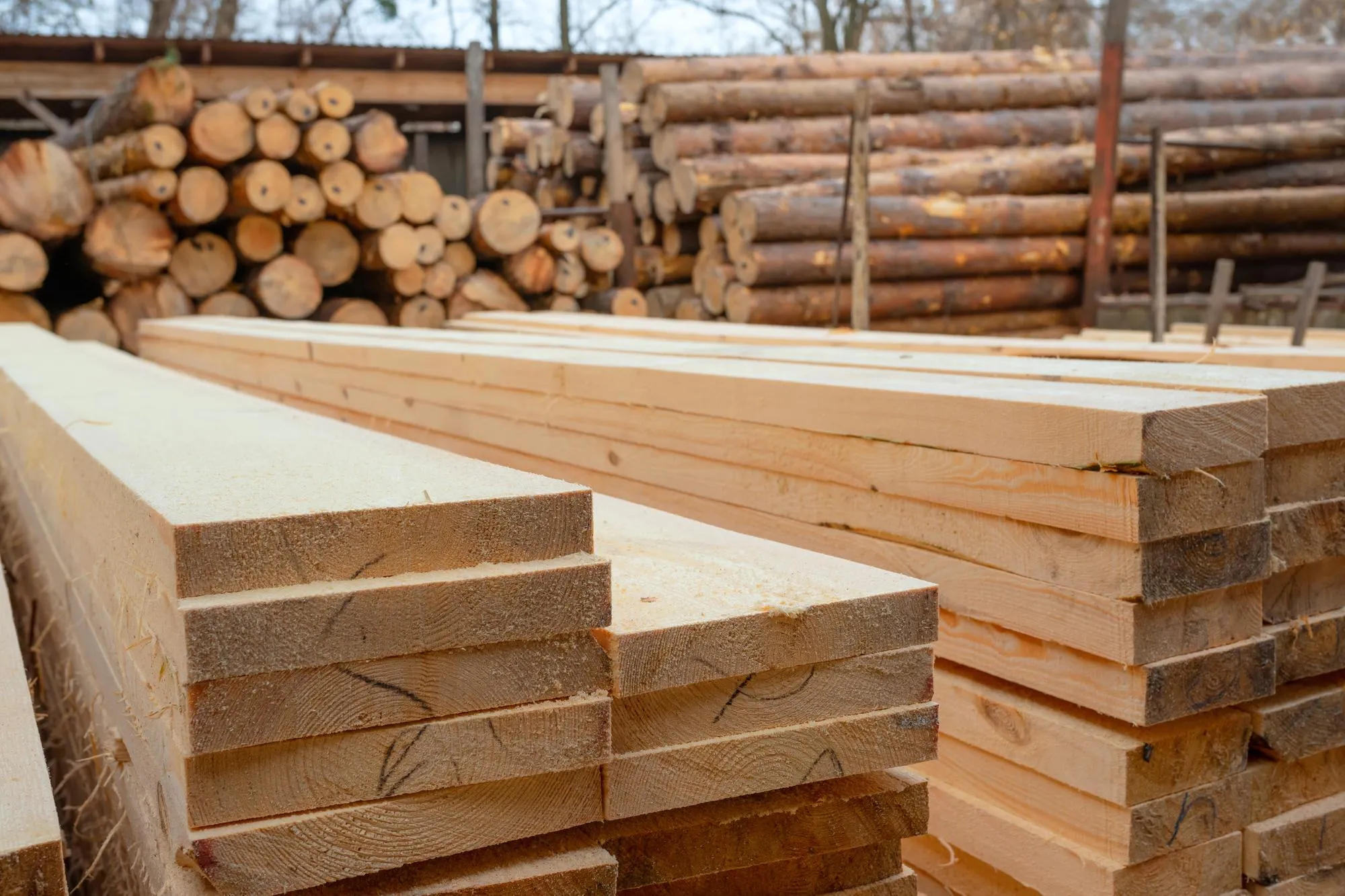 Timber